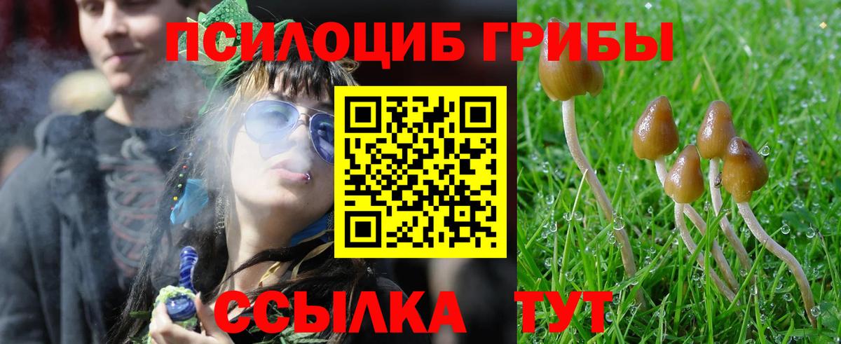 Псилоцибиновые грибы мухоморы Юрга