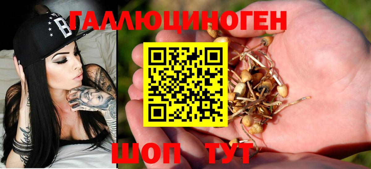 Псилоцибиновые грибы MAGIC MUSHROOMS  Вход с VPN  где найти наркотики  Юрга 